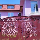 Andronache Bucuresti